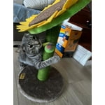 Image 3 of customer photos