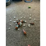 Image 4 of customer photos