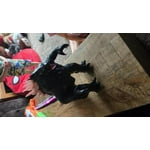 Image 2 of customer photos