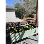 Image 6 of customer photos