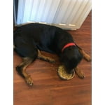 Image 5 of customer photos