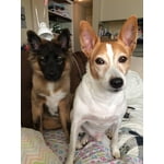 Image 3 of customer photos