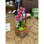 Image 6 of customer photos