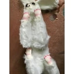 Image 4 of customer photos