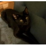 Image 5 of customer photos