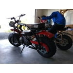 coleman powersports 200cc gas powered mini bike