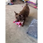 Image 3 of customer photos