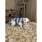 Image 1 of customer photos