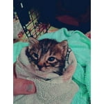 Image 2 of customer photos