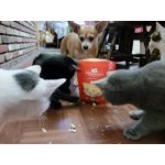 Image 4 of customer photos