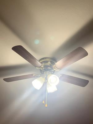 Light Bulb In Ceiling Fan Exploded Swasstech