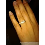 Image 7 of customer photos