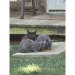 Image 2 of customer photos