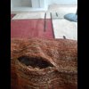 User uploaded thumbnail, 1 of 2