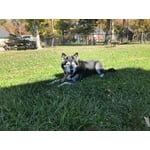 Image 4 of customer photos