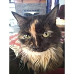 Image 6 of customer photos