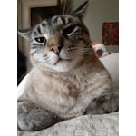 Image 6 of customer photos