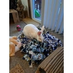 Image 6 of customer photos