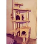 Image 2 of customer photos