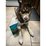 Image 5 of customer photos