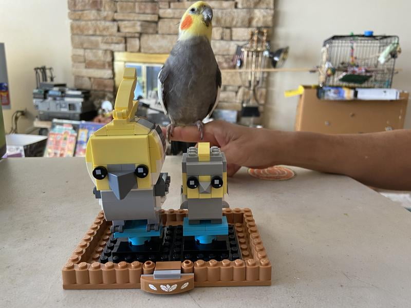Cockatiel lego hotsell