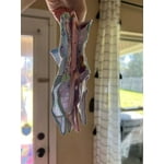 Image 6 of customer photos
