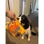 Image 7 of customer photos