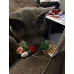 Image 4 of customer photos