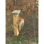 Image 7 of customer photos