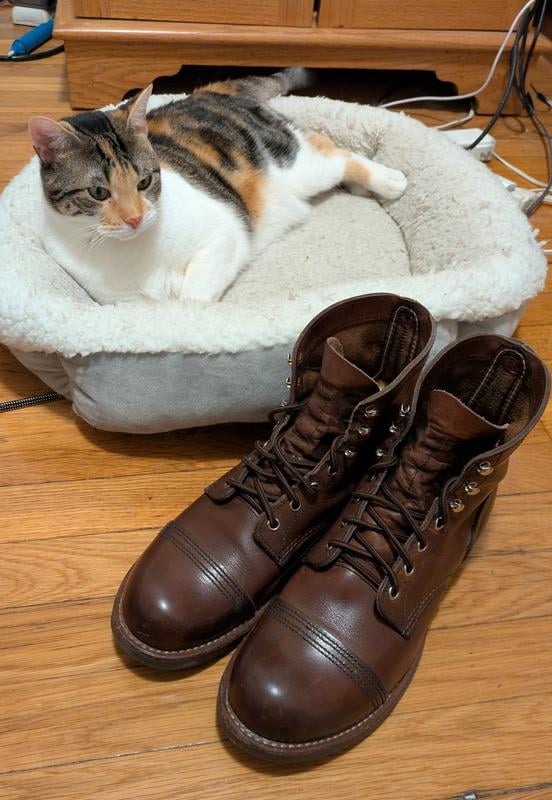 Red Wing Heritage 8111 Iron Ranger 6-Inch Cap Toe Men's Boots Size