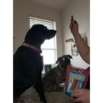 Image 5 of customer photos