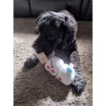 Image 4 of customer photos