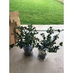 Image 2 of customer photos