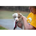 Image 6 of customer photos