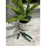 Image 6 of customer photos