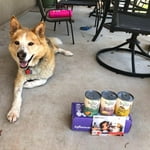 Image 4 of customer photos