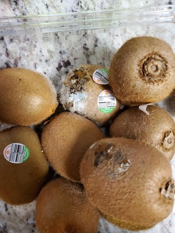 Green Kiwi, 3 lbs. - Samsclub.com