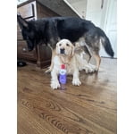 Image 6 of customer photos