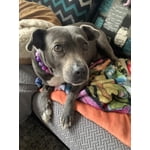 Image 6 of customer photos