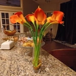 Image 4 of customer photos