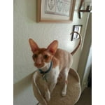 Image 6 of customer photos