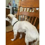 Image 7 of customer photos