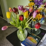 Image 1 of customer photos