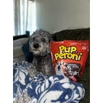 Image 7 of customer photos