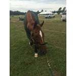 Image 3 of customer photos