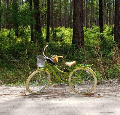 huffy nel lusso green