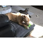 Image 7 of customer photos