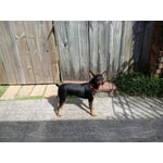 Image 5 of customer photos