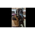 Image 5 of customer photos