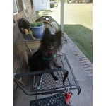 Image 5 of customer photos